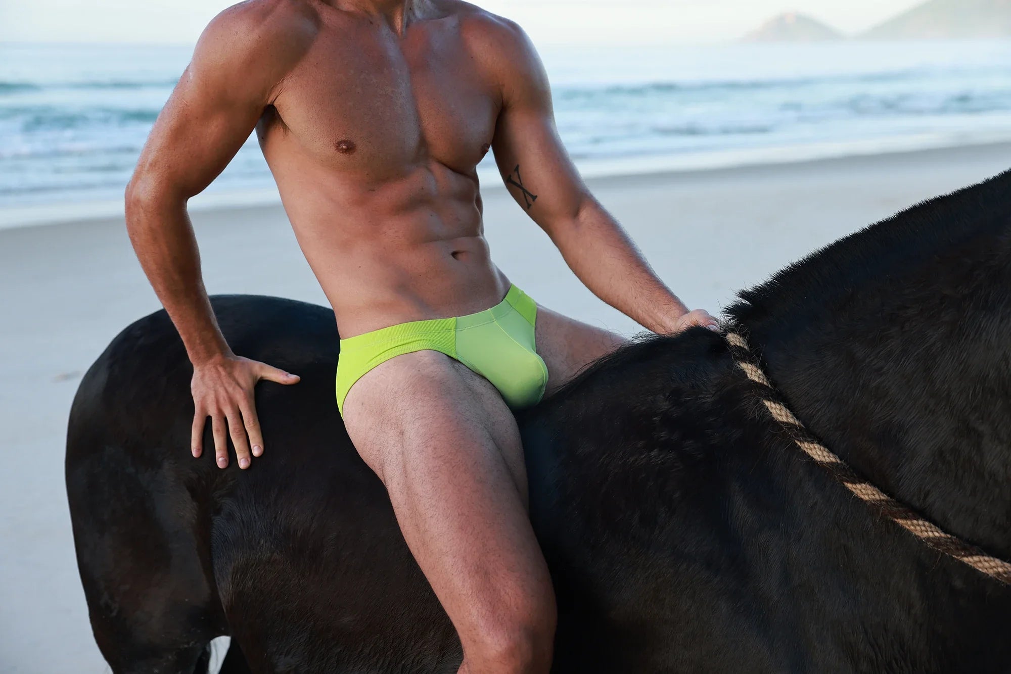 Blocky Swim Briefs